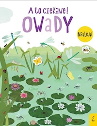 A to ciekawe! Owady -  - książka