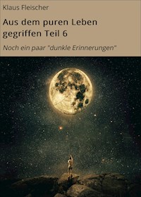 Aus dem puren Leben gegriffen Teil 6 - Klaus Fleischer - ebook