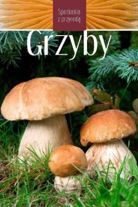 Grzyby. Spotkania z przyrodą - Marek Snowarski - książka