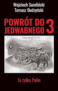 Powrót do Jedwabnego Tom 3 To tylko Polin - Wojciech Sumliński, Budzyński Tomasz - książka