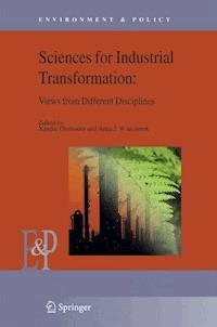 Understanding Industrial Transformation -  - ebook