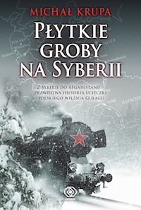 Płytkie groby na Syberii - Michał Krupa - ebook + książka