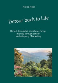 Detour back to Life - Harald Meier - ebook