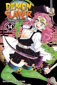 Demon Slayer Kimetsu no Yaiba vol. 14 - Koyoharu Gotouge - książka
