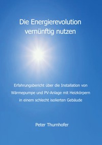 Die Energierevolution vernünftig nutzen - Peter Thurnhofer - ebook
