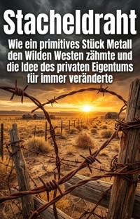 Stacheldraht - Hendrik Falkner - ebook