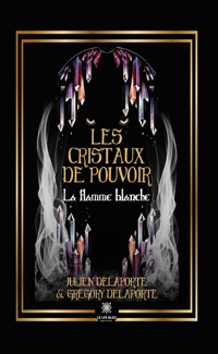Les cristaux de pouvoir - Julien Delaporte - ebook