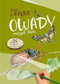 Owady naszych lasów Zeszyt z kalką - Katarzyna Kopiec-Sekieta - książka