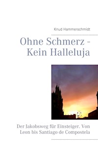 Ohne Schmerz - Kein Halleluja - Knud Hammerschmidt - ebook