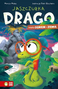 Jaszczurka Drago. Między ogniem a ziemią - Marcin Malec - audiobook + książka