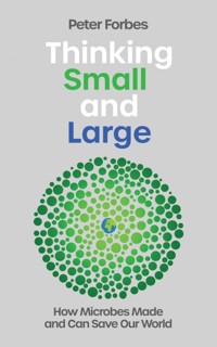 Thinking Small and Large - Peter Forbes - ebook