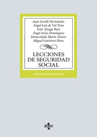 Lecciones de Seguridad Social - Juan Gorelli Hernández - ebook