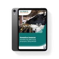Kwasica żwacza – dowiedz się, jakie są jej przyczyny i jak ją leczyć - Michał Tchórzewski - ebook