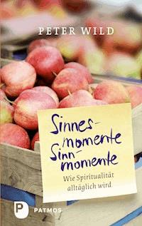 Sinnesmomente - Sinnmomente - Peter Wild - ebook