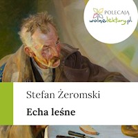 Echa leśne - Stefan Żeromski - ebook + audiobook