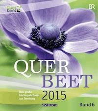 Querbeet 2015 (6) - Tobias Bode - ebook