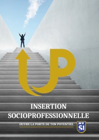 Insertion socioprofessionnelle - Yannick Buttignol - ebook