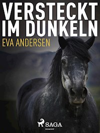 Versteckt im Dunkeln - Eva Andersen - ebook