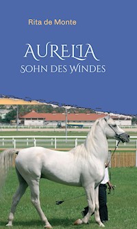 AURELIA - Sohn des Windes - Rita de Monte - ebook
