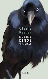 Kleine Dinge wie diese - Claire Keegan - ebook