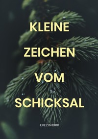 Kleine Zeichen vom Schicksal - Evelyn Birk - ebook