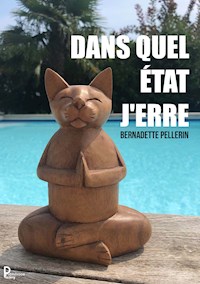 Dans quel état j'erre ? - Bernadette Pellerin - ebook