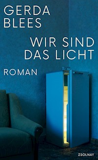 Wir sind das Licht - Gerda Blees - ebook