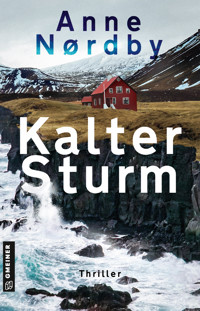 Kalter Sturm - Anne Nordby - ebook