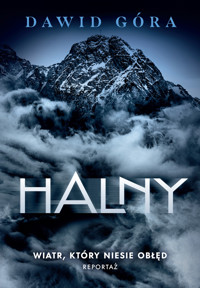 Halny. Wiatr, który niesie obłęd - Dawid Góra - ebook + audiobook + książka
