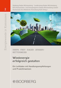Windenergie erfolgreich gestalten - Michael Frey - ebook