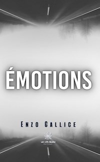 Émotions - Enzo Gallice - ebook