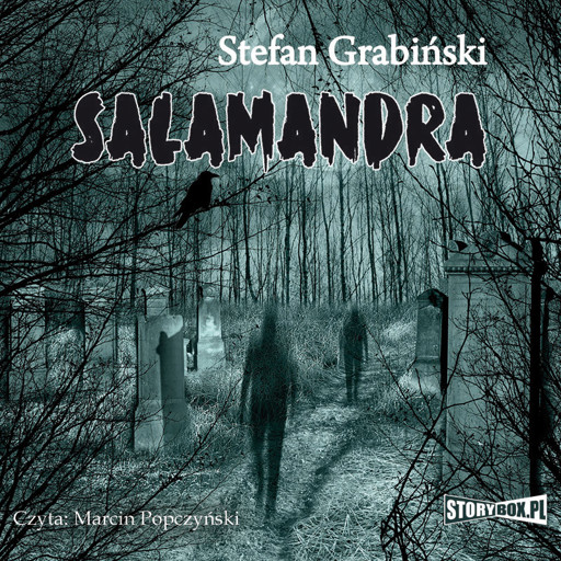 Okładka książki Salamandra