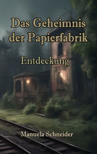 Das Geheimnis der Papierfabrik - Manuela Schneider - ebook