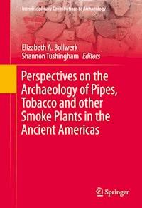 Perspectives on the Archaeology of Pipes, Tobacco and other Smoke Plants in the Ancient Americas -  - ebook
