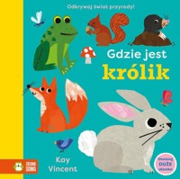 Gdzie jest królik -  - książka
