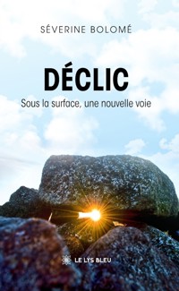 Déclic - Séverine Bolomé - ebook