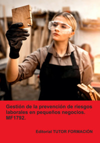 Gestión De La Prevención De Riesgos Laborales En Pequeños Negocios. Mf1792. - Carmen Arenal Laza - ebook