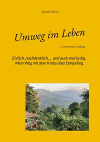 Umweg im Leben - Harald Meier - ebook