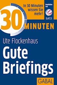 30 Minuten Gute Briefings - Ute Flockenhaus - ebook