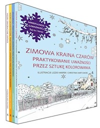 Zimowa kraina czarów / Krajobrazy / Wzory geometryczne /Wzory dekoracyjne vintage -  - książka