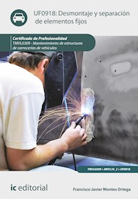 Desmontaje y separación de elementos fijos. TMVL0309 - Raúl Casas Peña - ebook