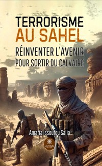 Terrorisme au Sahel - Amaria Issoufou Salia - ebook