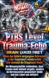 PTBS Level Trauma-Echo: Wenn das Gehirn vergangene Schrecken in der Gegenwart wiedererlebt und niemand die Stopptaste findet - kuhn thomas - ebook