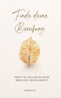 Finde deine Berufung - Tobias Hopfmüller - ebook