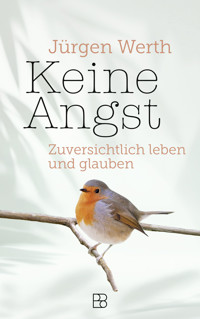Keine Angst - Jürgen Werth - ebook
