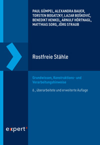Rostfreie Stähle - Paul Gümpel - ebook