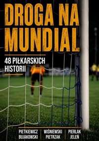 Droga na Mundial - Michał Jeleń, Jan Pietrzak, Filip Bujakowski, Paweł Pierlak, Mateusz Wiśniewski, Marcin Pietkiewicz - ebook