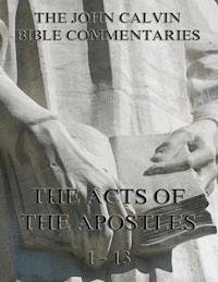 John Calvin's Commentaries On The Acts Vol. 1 - John Calvin - ebook