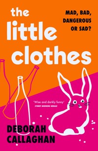 The Little Clothes - Deborah Callaghan - ebook