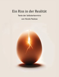 Ein Riss in der Realität - Nicole Paskow - ebook